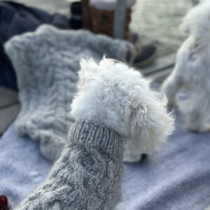 hundevest, mens vi strikker